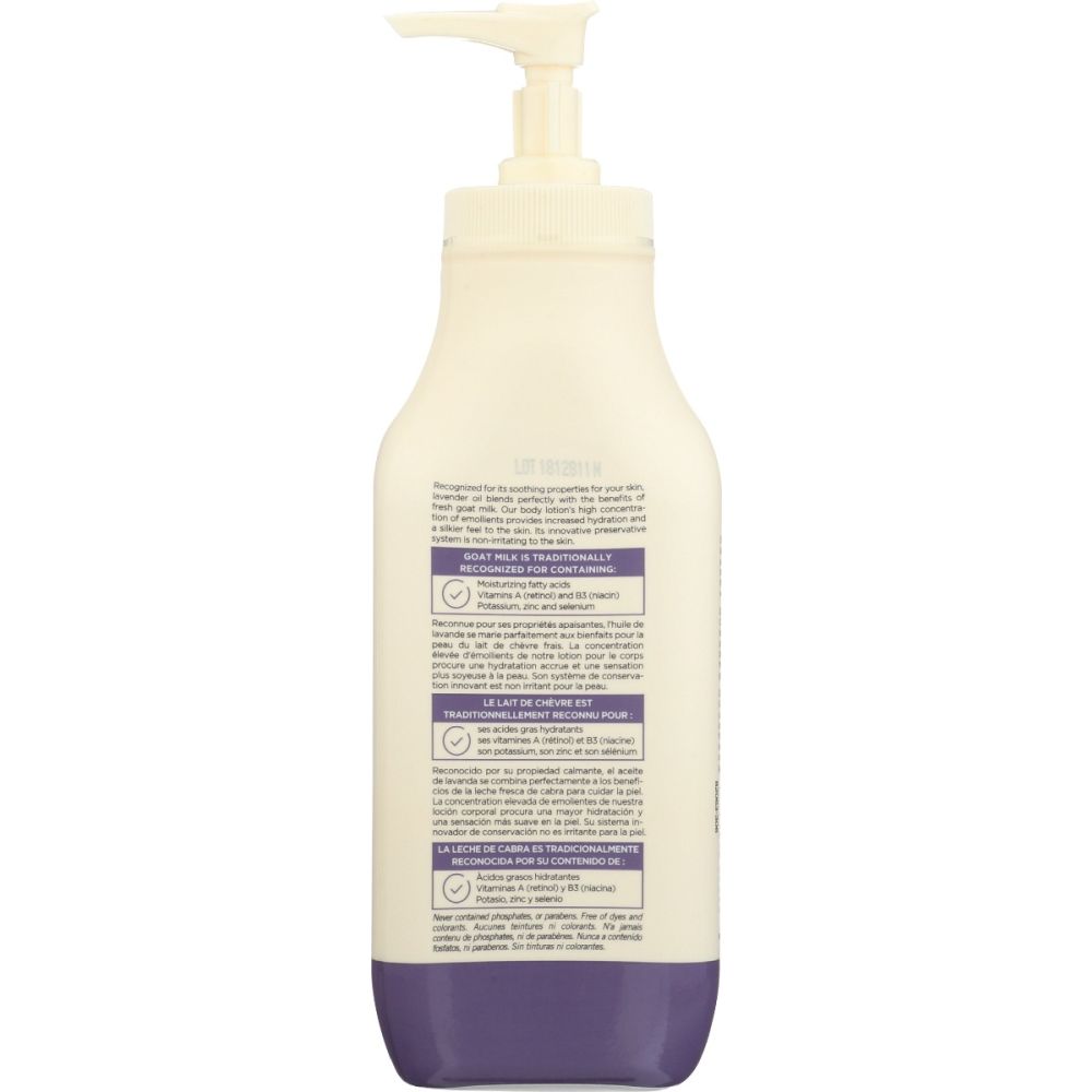 CANUS: Creamy Body Lotion with Lavender Oil, 11.8 oz